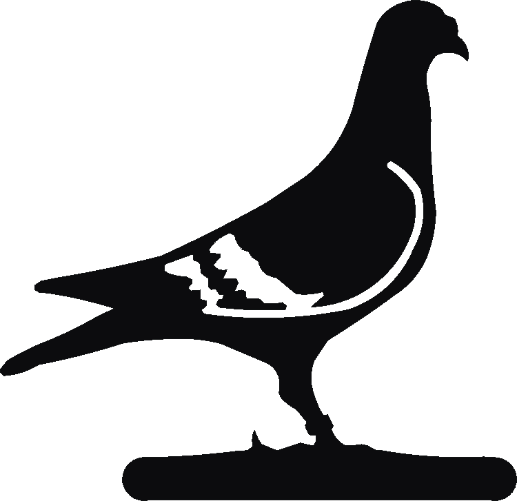 Pigeon Post Top