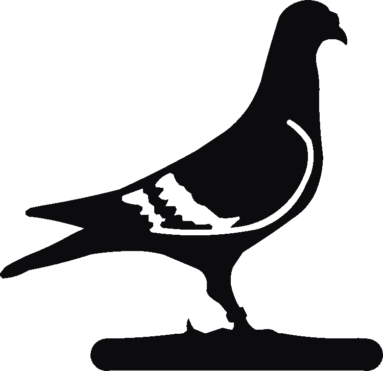 Pigeon Letter Racks