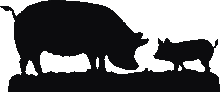Pigs Devon Sign