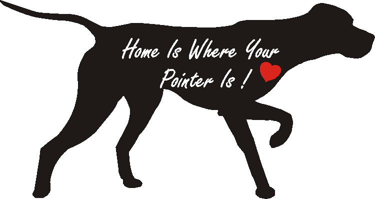 Pointer Home Is...