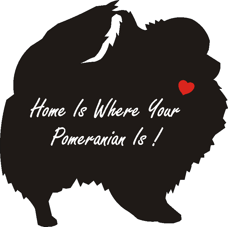 Pommeranian Home Is...