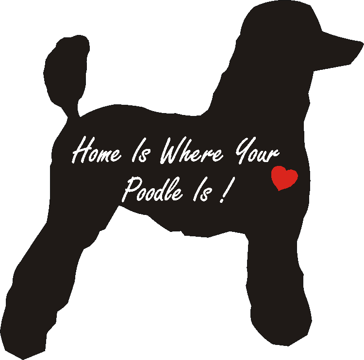 Poodle Home Is...