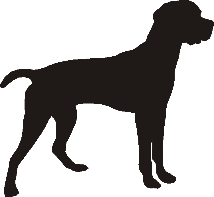 Portuguese Pointer Silhouettes