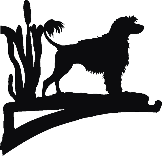 Portuguese Water Dog Hanging Brackets