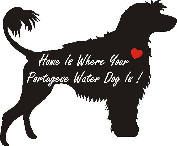 Portuguese Water Dog Home Is...