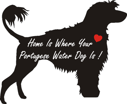 Portuguese Water Dog Home Is...