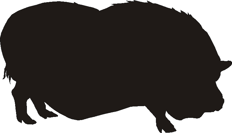 Pot Belly Pig Gate Plates