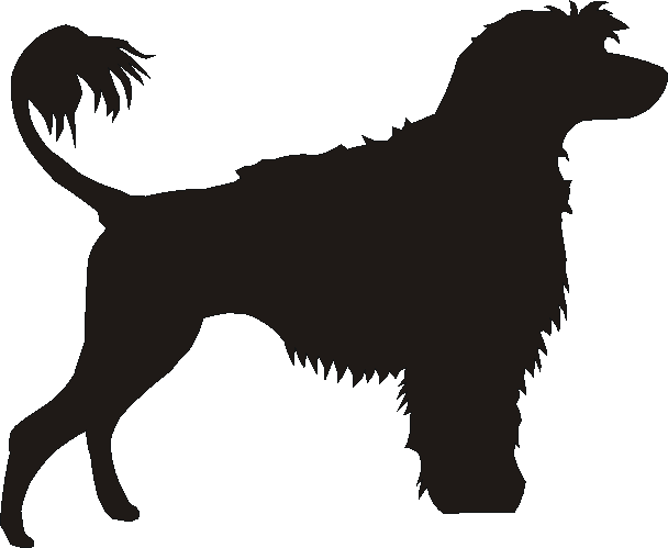 Portuguese Water Dog Curtain Hook Backs