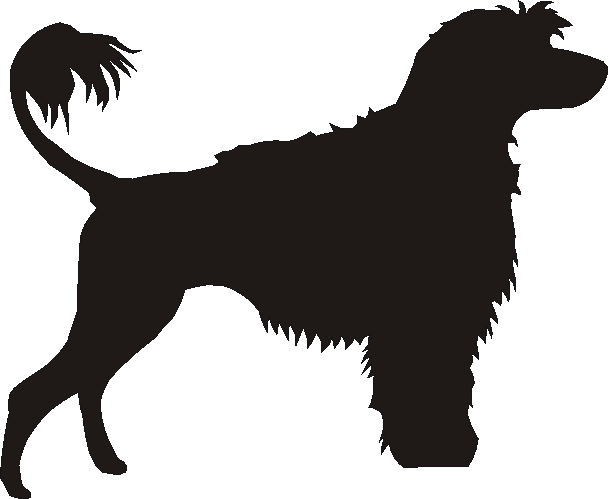 Portuguese Water Dog Whirlies
