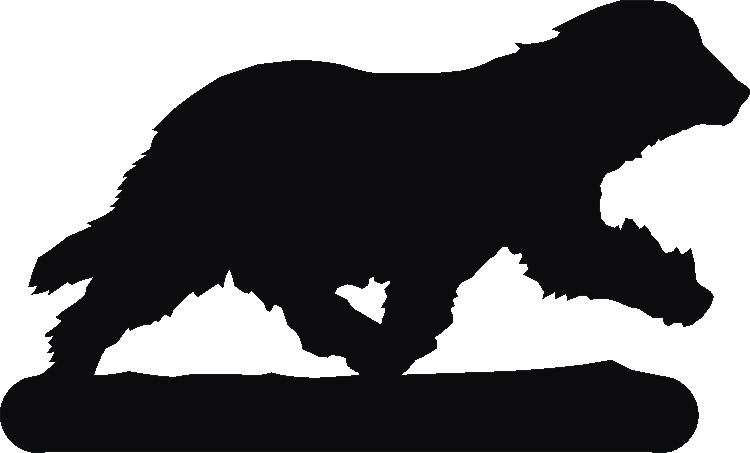 PSD Silhouettes