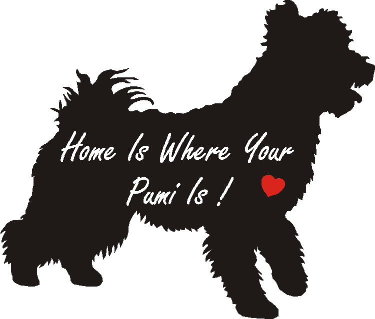 Pumi Home Is...