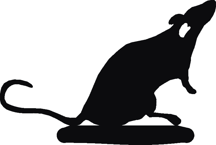 384 Rats Gorgeous Gifts – The Profiles Range