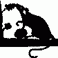 Rat Hanging Signs