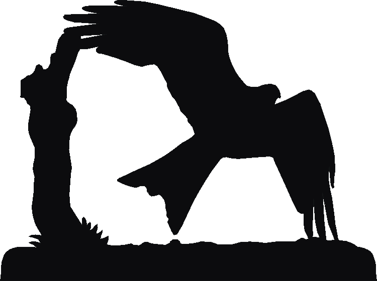 Red Kite Silhouettes