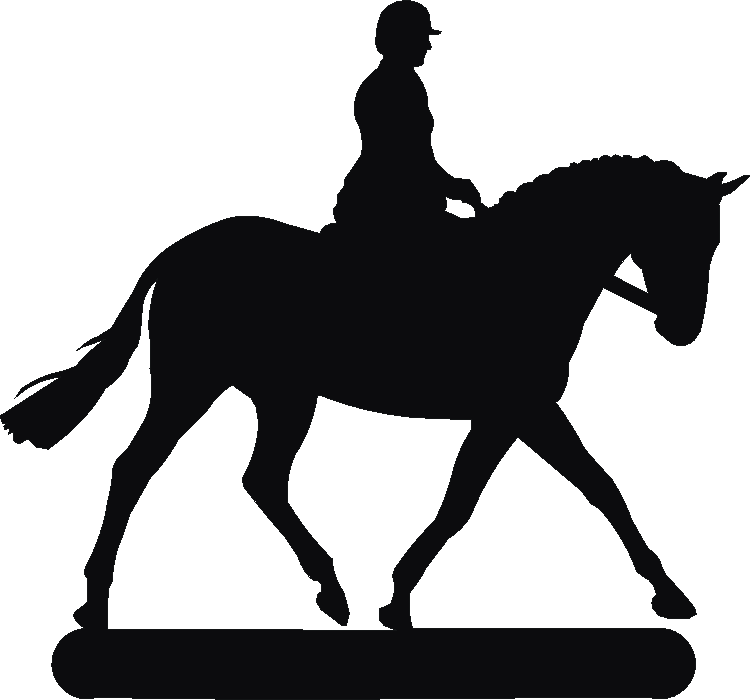 Riding Horse Number Plates