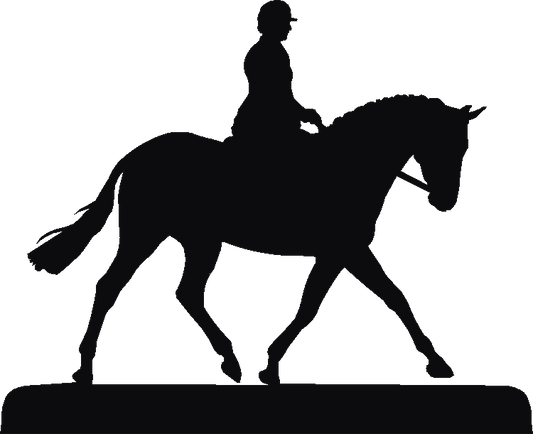 Riding Horse Trivia Tray