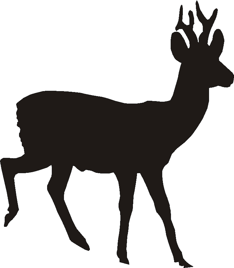 Roebuck Silhouettes