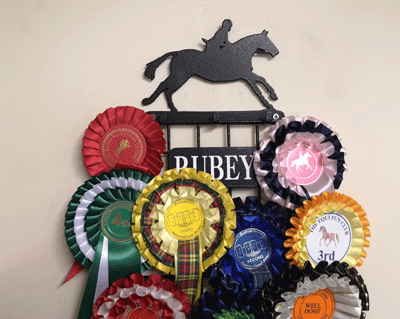 American Water Spaniel Rosette Runner