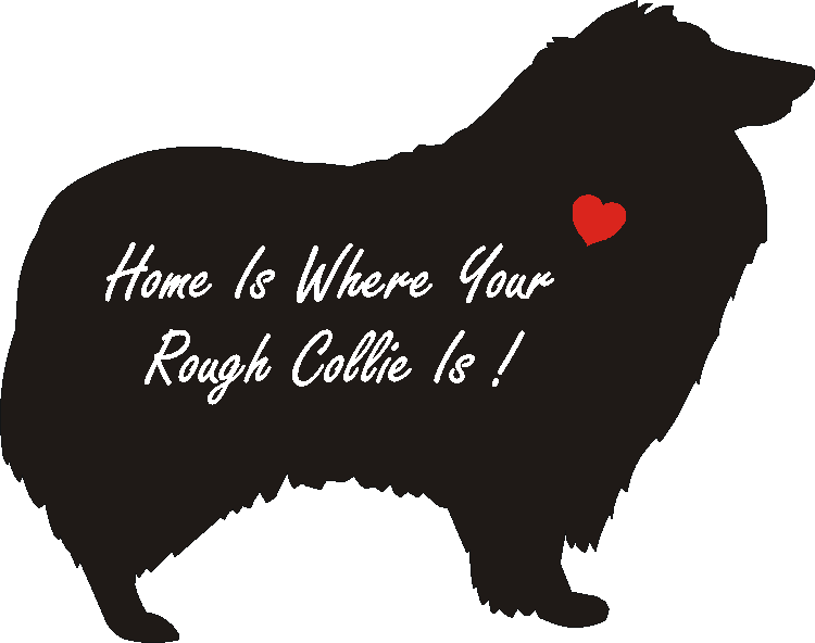 Rough Collie Home Is...