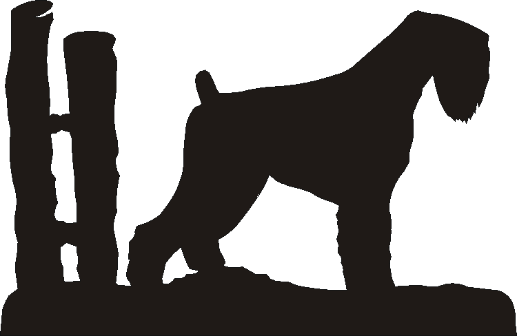 Russian Black Docked Boot Rack – The Profiles Range