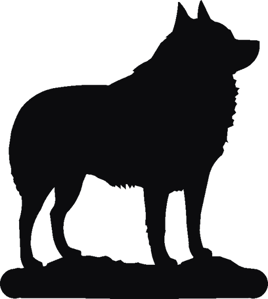 Schipperke Twilight