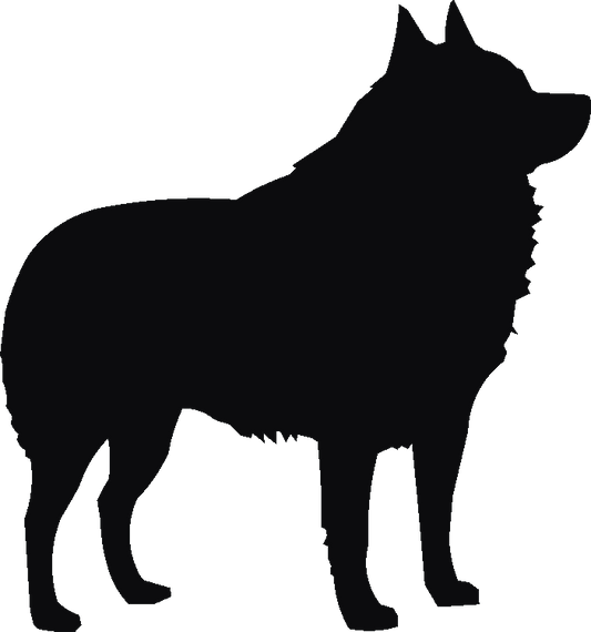 Schipperke Tall Tumblers