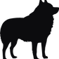 Schipperke Etched Tumblers