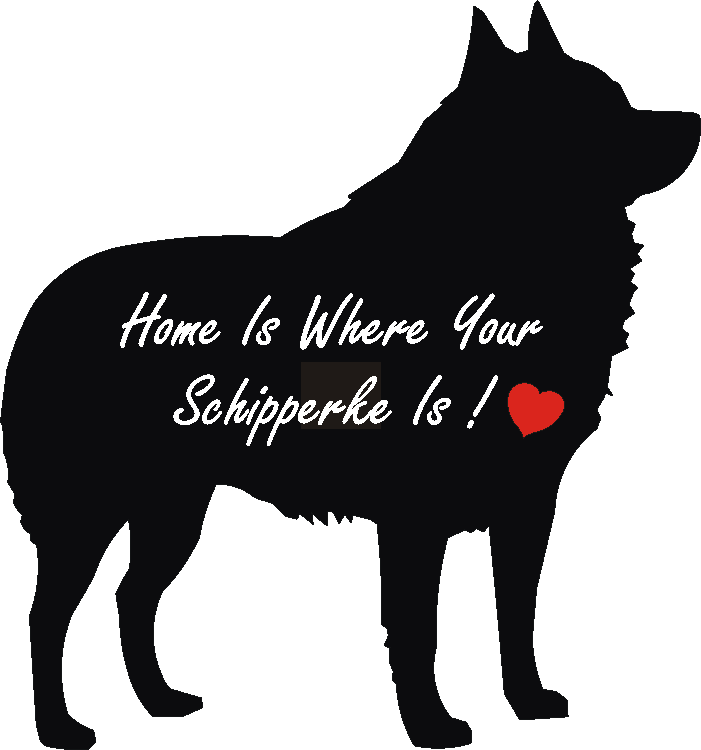 Schipperke Home Is...