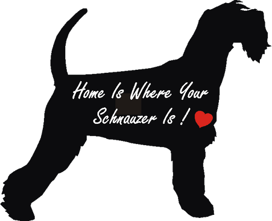 Schnauzer Home Is...