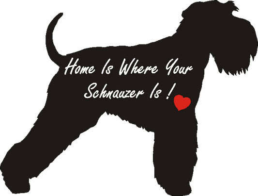 Schnauzer Miniature Home Is...