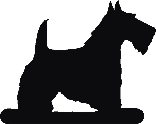 Scottie Post Top