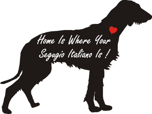 Segugio Italiano Home Is...
