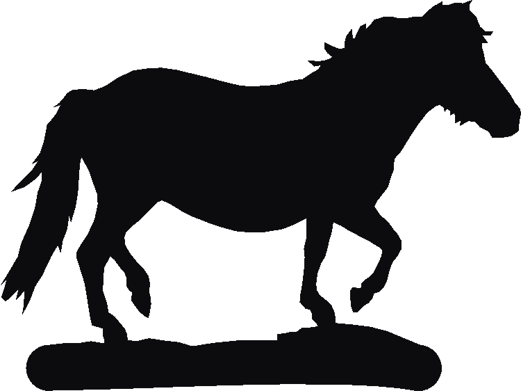 Shetland Pony Spice Carousel