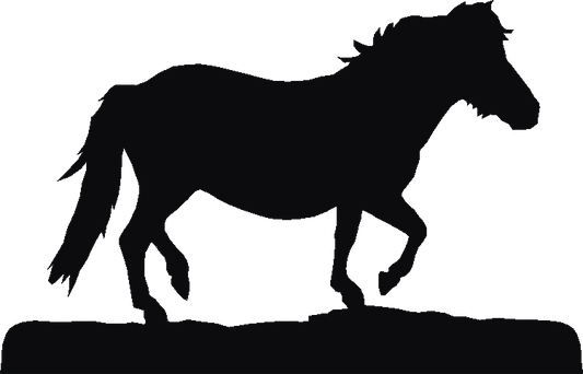 Shetland Pony Trivia Tray