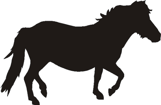 Shetland Pony Verge Sign