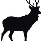 Sika Deer Tumbler Tins