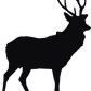 Sika Deer Tall Tumblers
