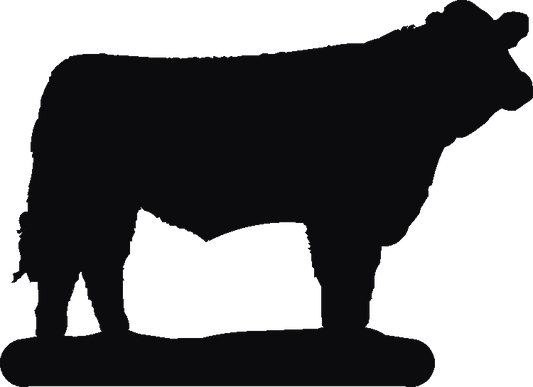 Simmental Hookits