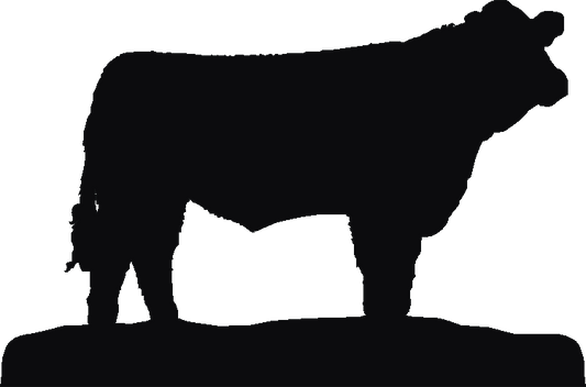 Simmental Medal Mate