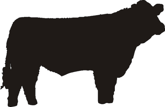 Simmental Tall Tumblers