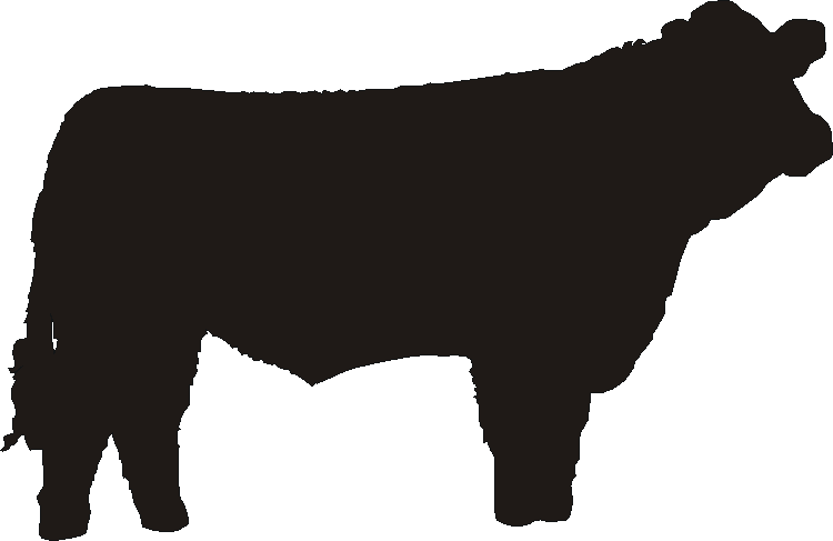 Simmental Silhouettes