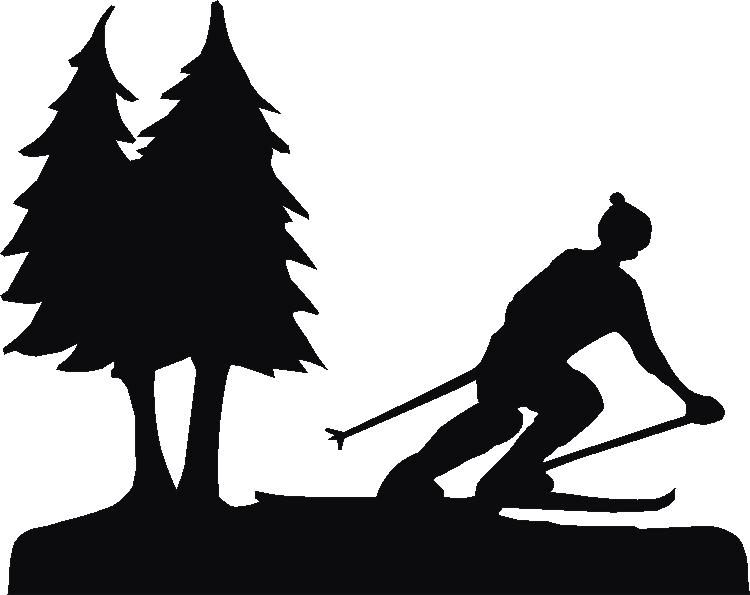 Skiing Medal Mate