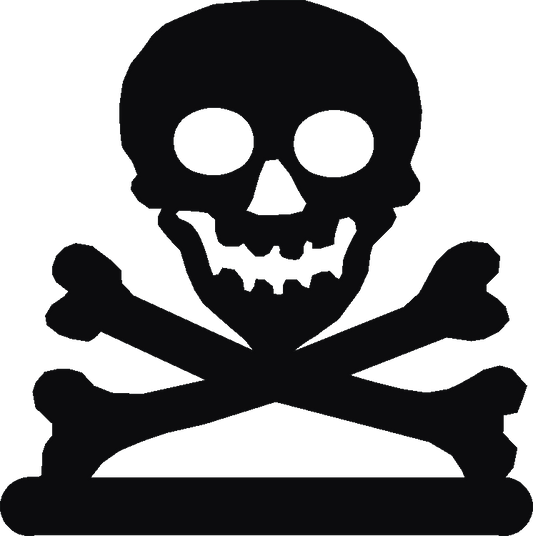 Skull & Crossbones Book Ends
