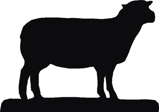 Southdown Sheep Trivia Tray