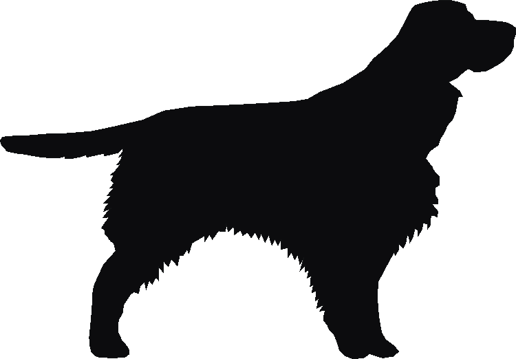 Springer Spaniel Yorkshire Sign