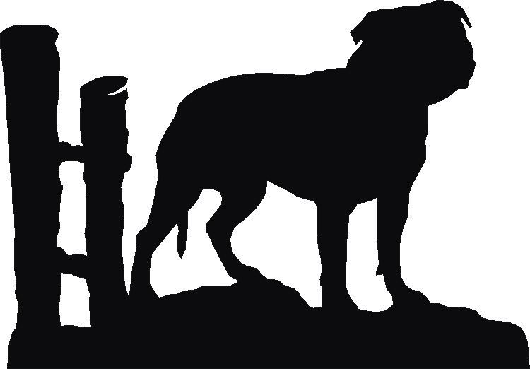 Staffordshire Bull Terrier Key Rack