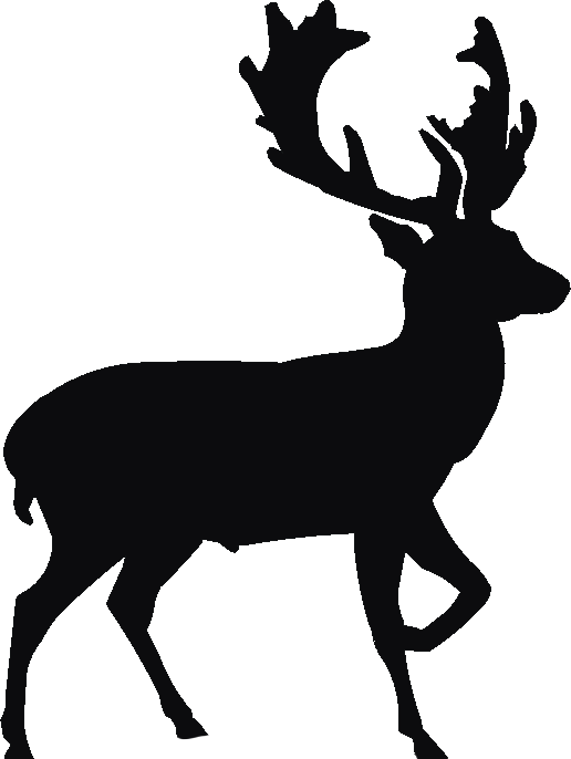 Stag Tall Tumblers
