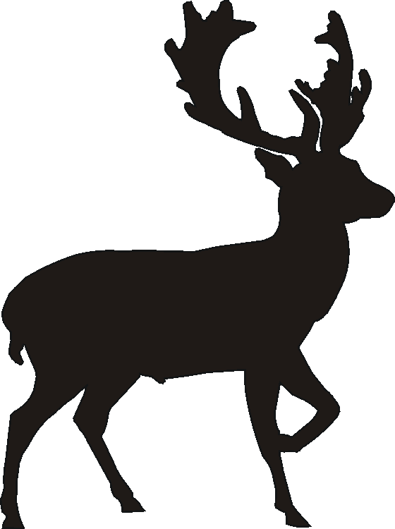 Stag Verge Sign