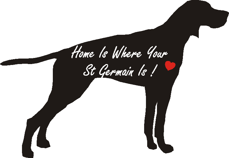 St Germain Home Is...