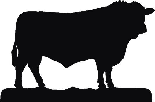 Sussex Bull Trivia Tray